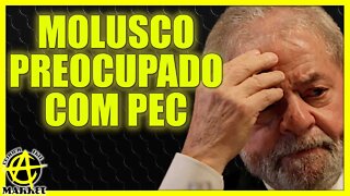 ESQUERDA preocupada com EFEITOS da PEC não percebe o PROBLEMA