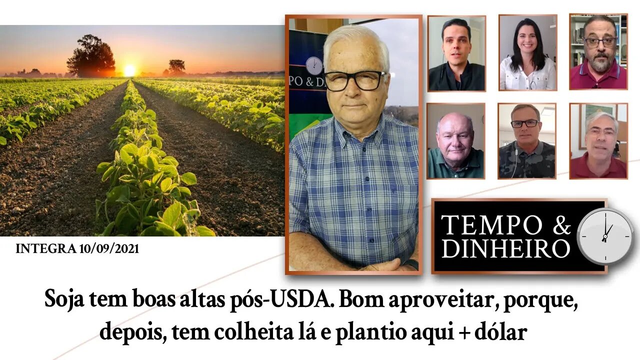 Soja tem boas altas pós-USDA. Bom aproveitar, porque, depois, tem colheita lá e plantio aqui +dólar