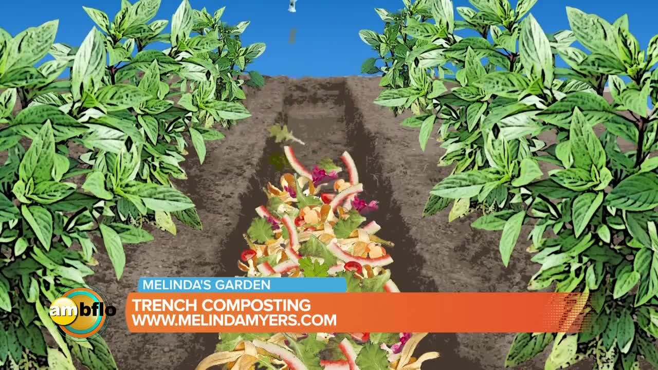 Melinda’s Garden Moment - How you can do trench composting