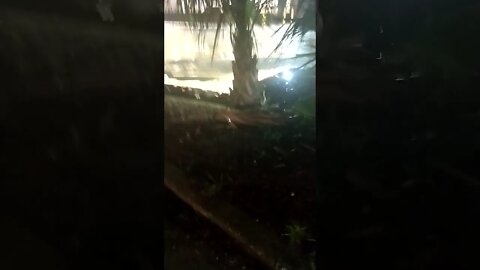 The Gang Stalking is worse in the rain