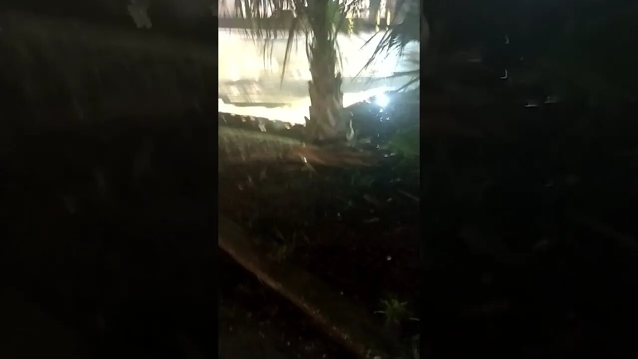 The Gang Stalking is worse in the rain