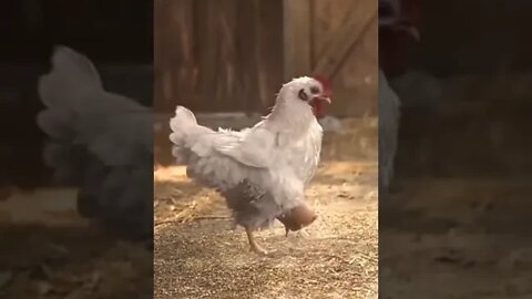 Ronaldo's student. 😂😂 #shorts #shortsfeed #clips #shortvideo
