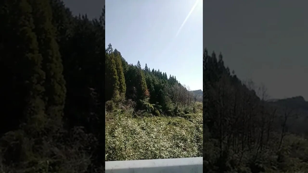 ホーホケキョ