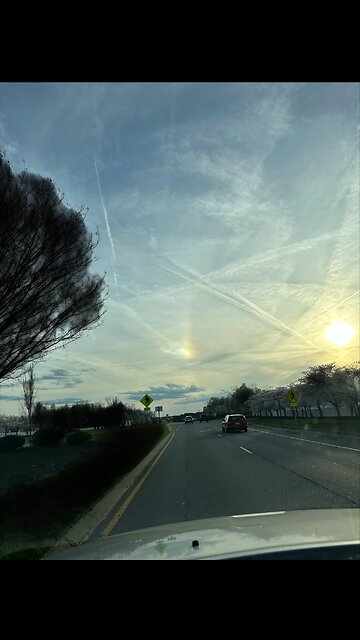 Aerosols in the clouds