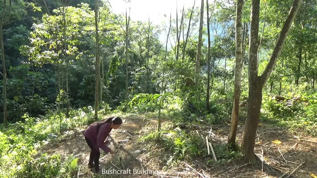 Build complete and warm survival shelter - bushwalk overnight in the wilderness)4