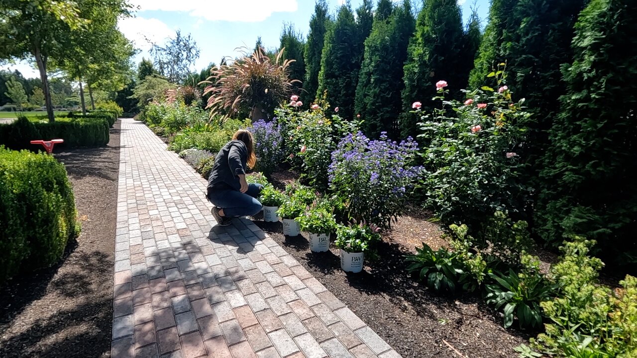 Finishing the Tree Planting, Perennial Planting & Pathway/Patio Update! 🙌🥰🌳