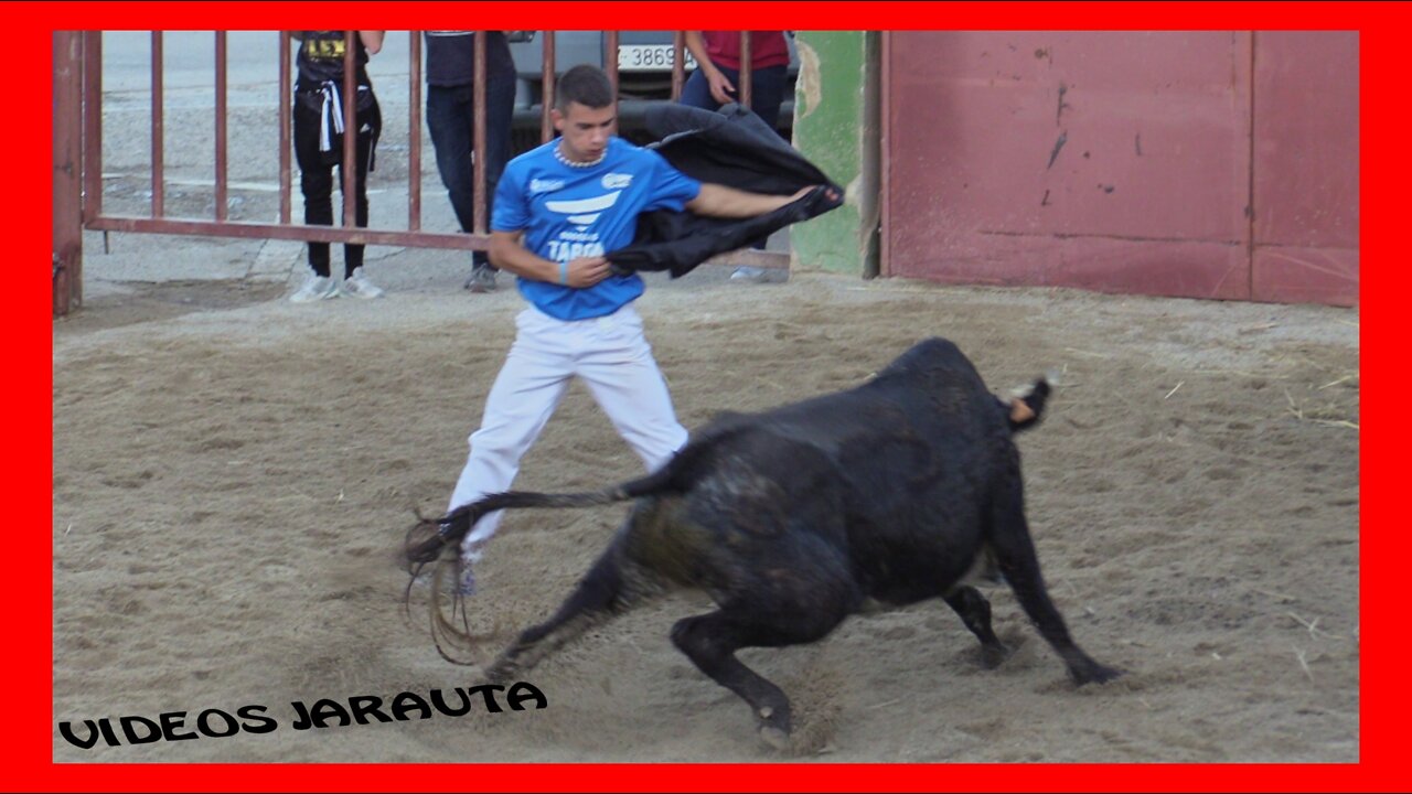 CUNCHILLOS ( TARAZONA ) TARDE VACAS PLAZA ( DOMINGO 2 OCTUBRE 2022 ) HROS.ANASTASIO ANTON