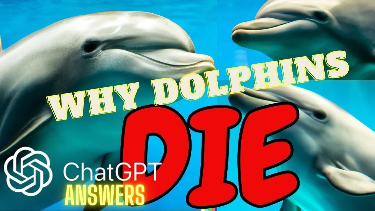 Why DOLPHINS Die - Chat GPT Answers