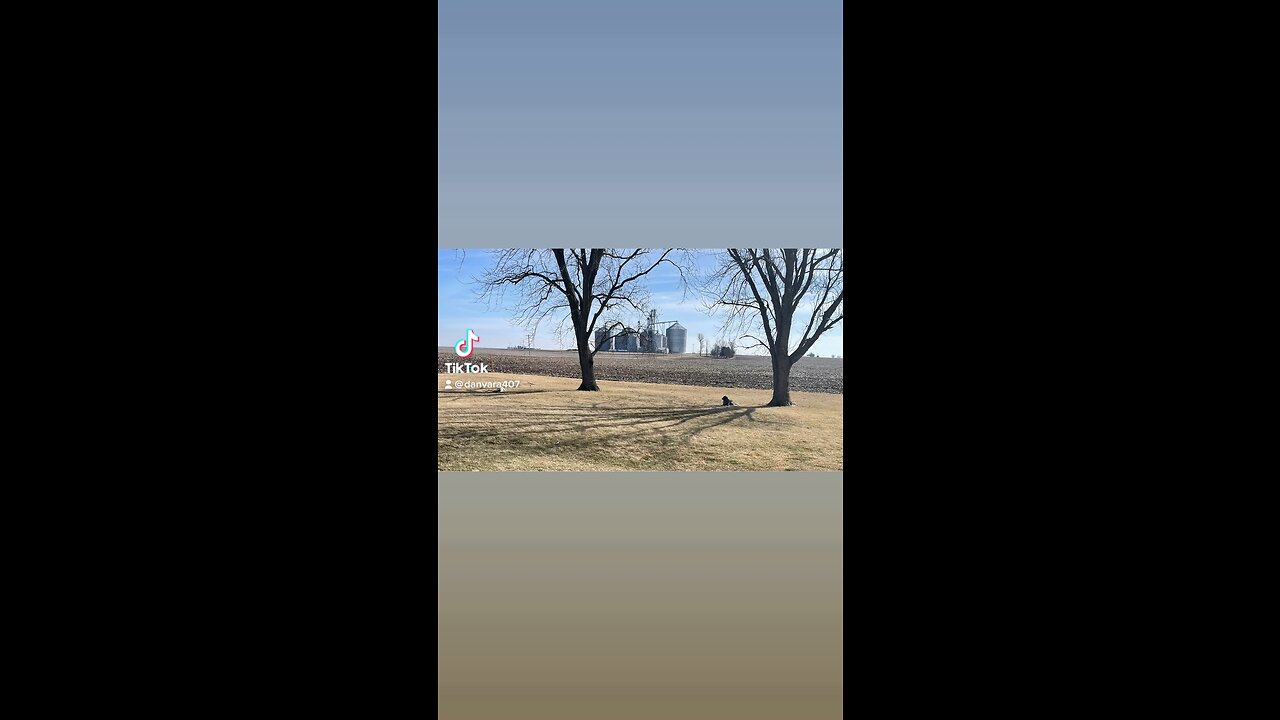 Country living