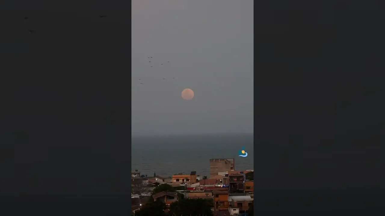 Marataizes