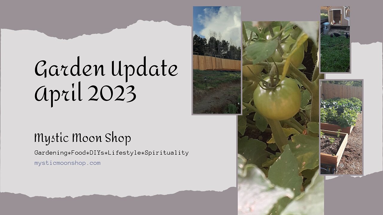 Garden Update April 2023 Grow Your Own Food