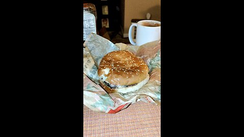 Meal, Burger King, Michigan Ave/Gulley, Dbn Hgts, MI, 11/4/24