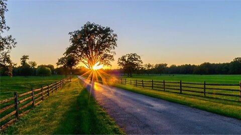 Calm Spring Evening. Relax, Focus, Or Meditate. Enjoy Restful Deep Sleep With A Dark Screen.