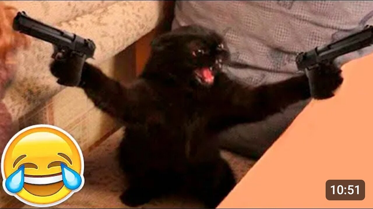 New Funny Animals 😂 Funniest Cats and Dogs Videos 😺🐶
