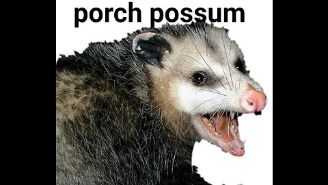 Porch possum trilogy