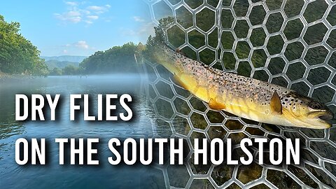 Dry Fly Fishing on the South Holston River