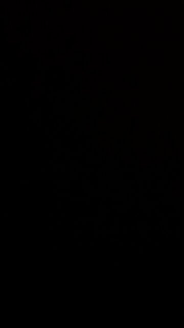 Political and geopolitical news