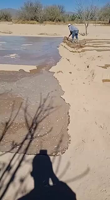 Regando para sembrar alfalfa