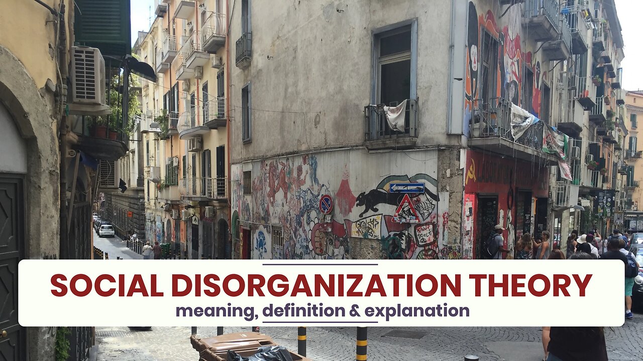 What is SOCIAL DISORGANIZATION THEORY?