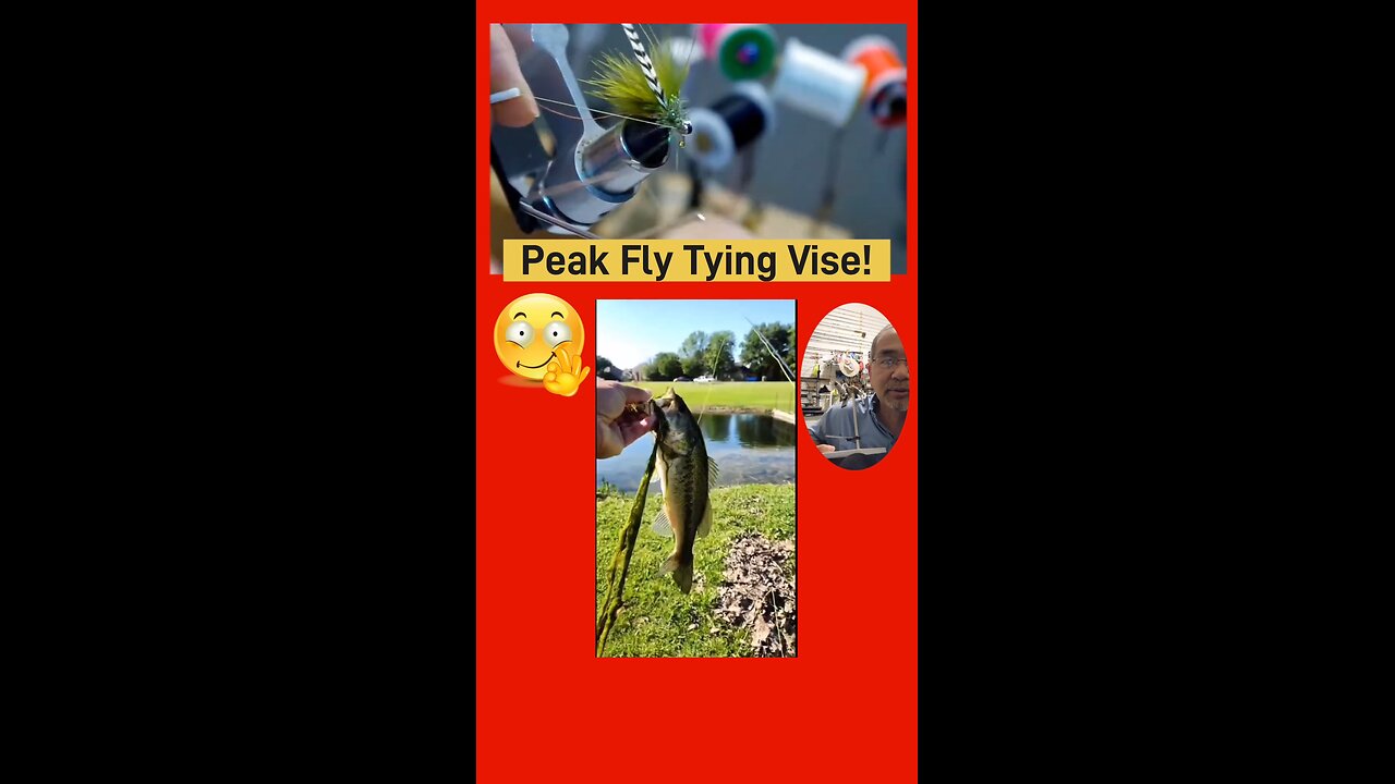 Try This Streamer for Bass #fishing #bassfishing #flyfishing Peak Fly Tying Vise