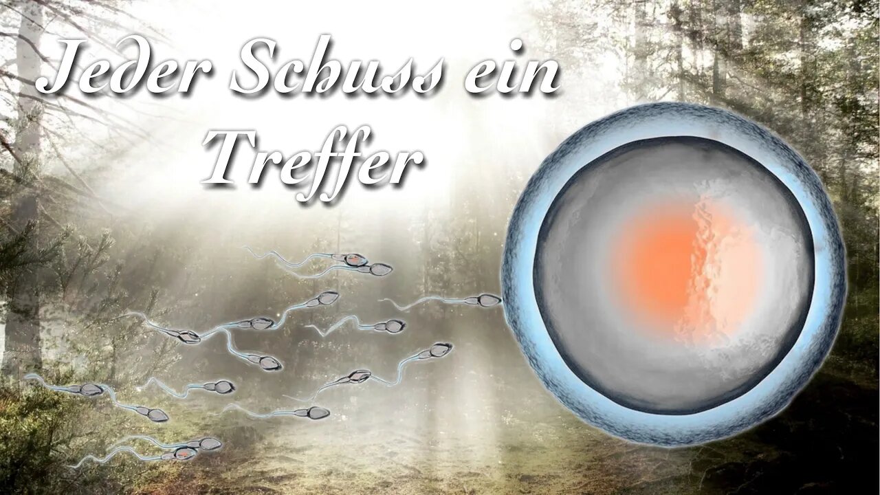 Jeder Schuss ein Treffer