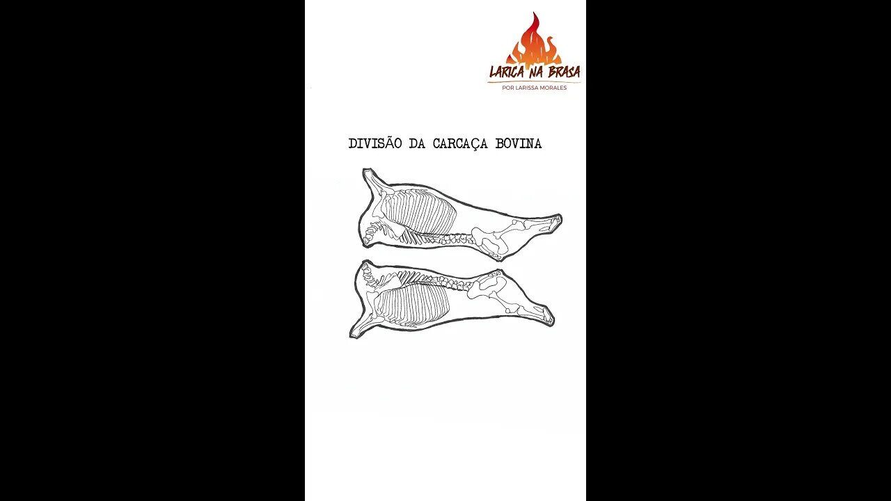 DIVISÃO DA CARCAÇA BOVINA #SHORTS