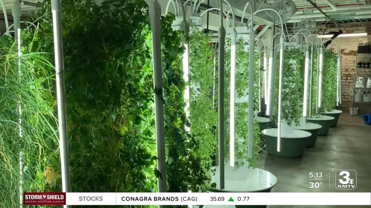 Old Market restaurant Gather in Omaha expands indoor urban farm