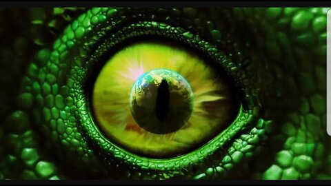 Who are the Draco👽🦎