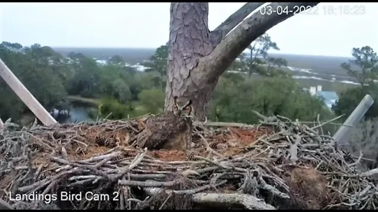 Mom's PM Leave and Return-Cam Two 🦉 3/4/22 18:16