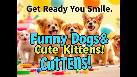 Get ready to smile with this adorable mix of funny and cute kittens having a blast.