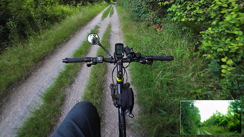 Cycling, 17.06.2024 [I] Lobau