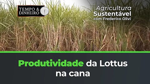 Lottus BioSoluções na produtividade da Cana