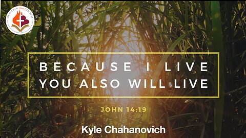 Because I Live - Kyle Chahanovich - 15, December, 2024