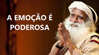 A EMOÇÃO É PODEROSA, SADHGURU, DUBLADO