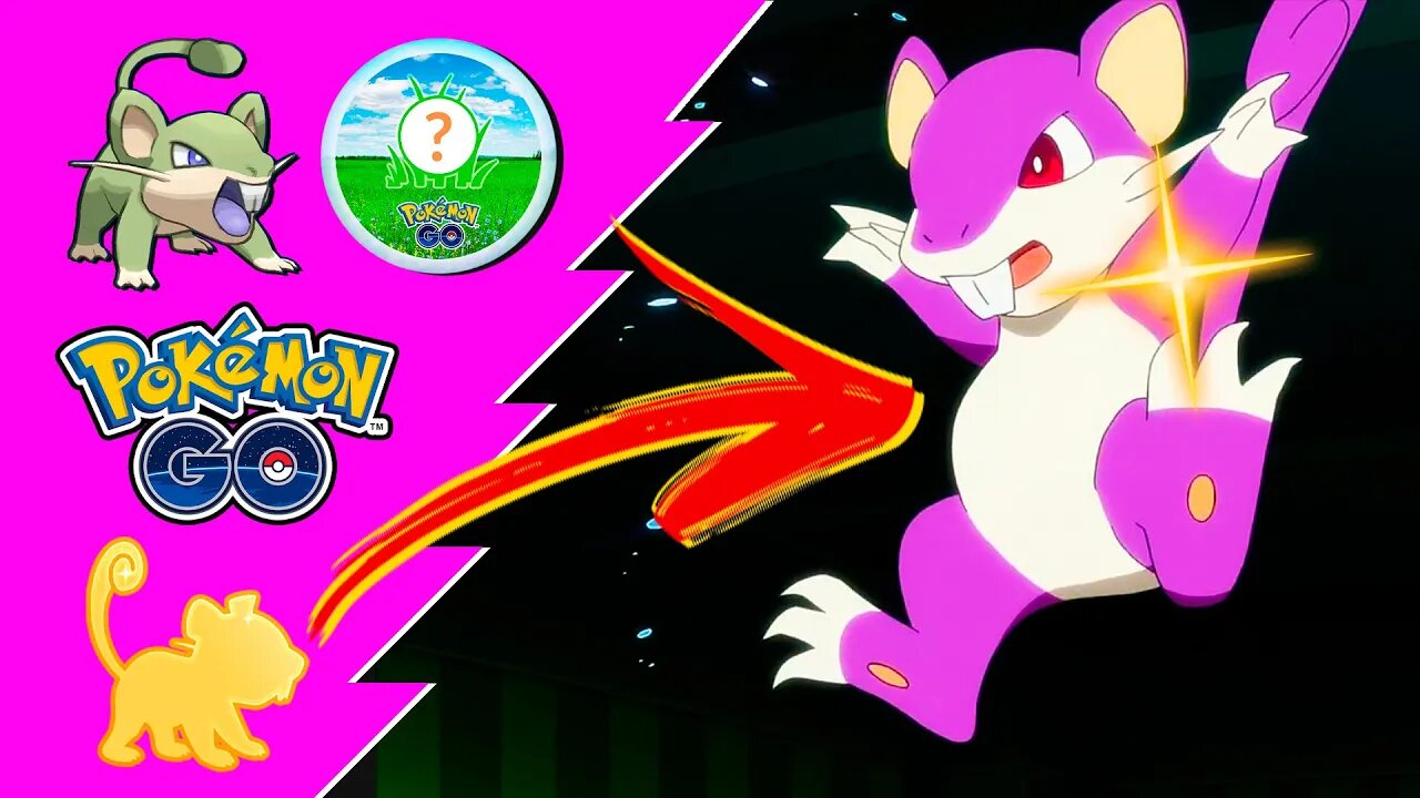 RATTATA SHINY! Hora do Holofote! SPOTILIGHT! PLATINAR A MEDALHA DO RATTATA