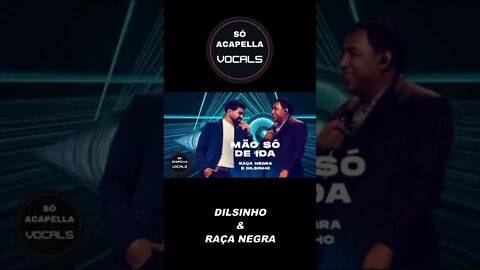 #shorts DILSINHO E RAÇA NEGRA - MÃO SÓ DE IDA