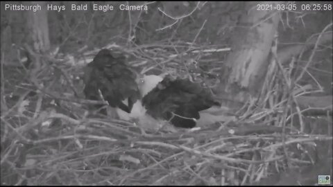 Hays Eagles Dad eats yesterday's gift fish almost mantles it 3 5 21 6:24AM