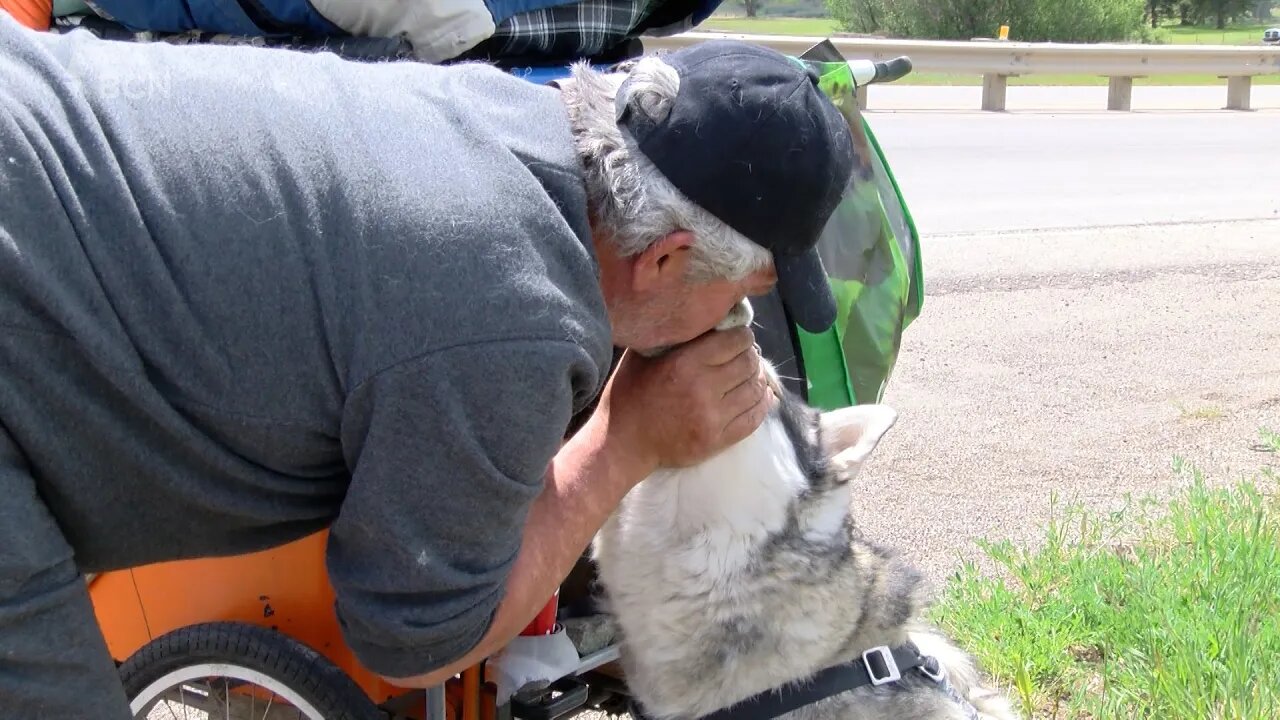 Homeless Man Raising Awareness For Lack Of Pet Friendly Shelters - May 31, 2022 - Micah Quinn