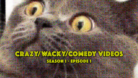 CRAZY/WACKY/COMEDY PET VIDEOS