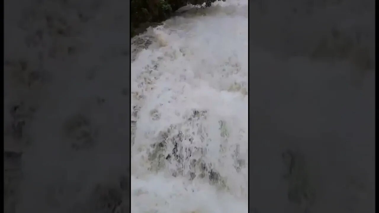 River water flowing at a high speed,#shorts,#riverwatersounds,#river,#tourvlog,#naturelovers