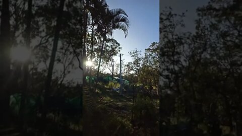 It's gonna be a sparklin day