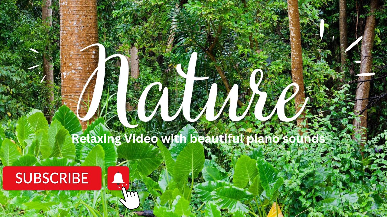 Nature Relaxing Video| with Beautiful calming, Meditation, Relaxing piano music| Ultra HD