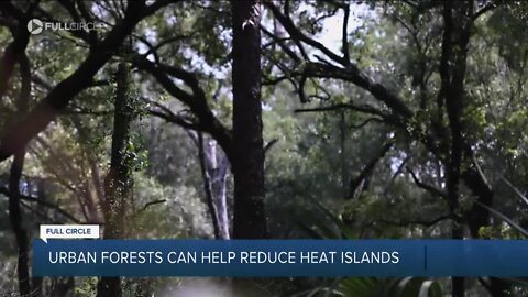 Heat Waves and the Future: How cities are preparing for scorching temps