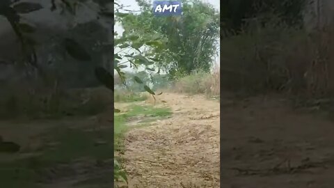 Mera Gaon WhatsApp status old