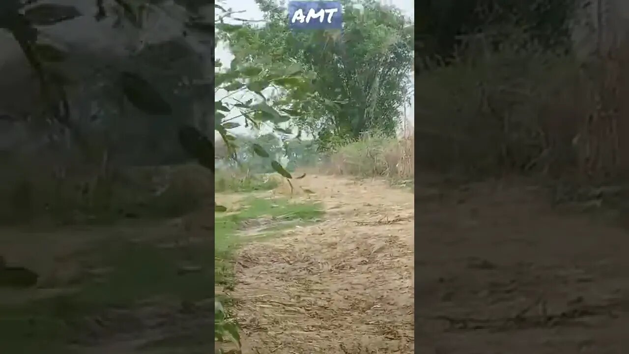 Mera Gaon WhatsApp status old