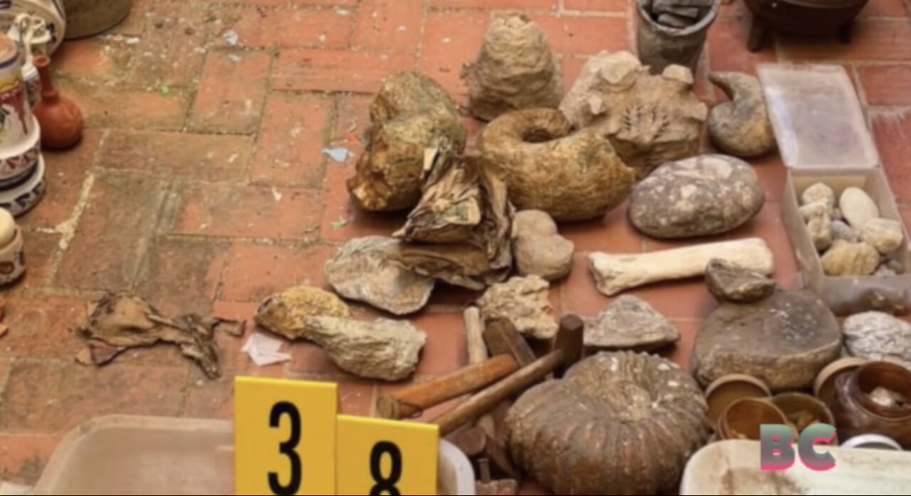 Spanish police seize hundreds of archaeological artifacts from two homes