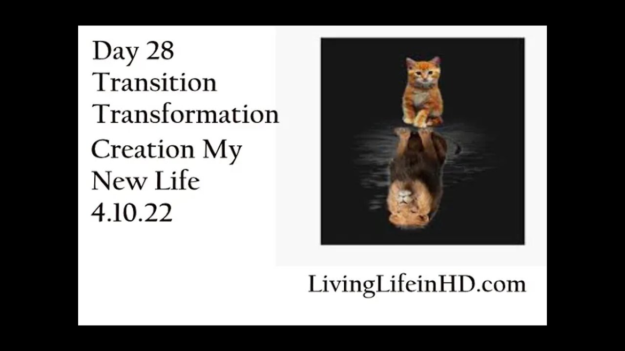 Day 28 Transition Transformation Creation My New Life 4.10.22