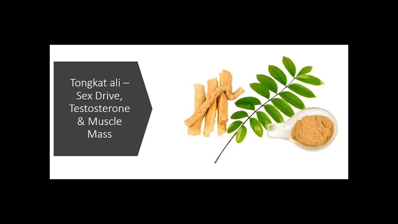 Tongkat ali - Benefits - Sex Drive, Muscle, Adaptogenic Stress Management