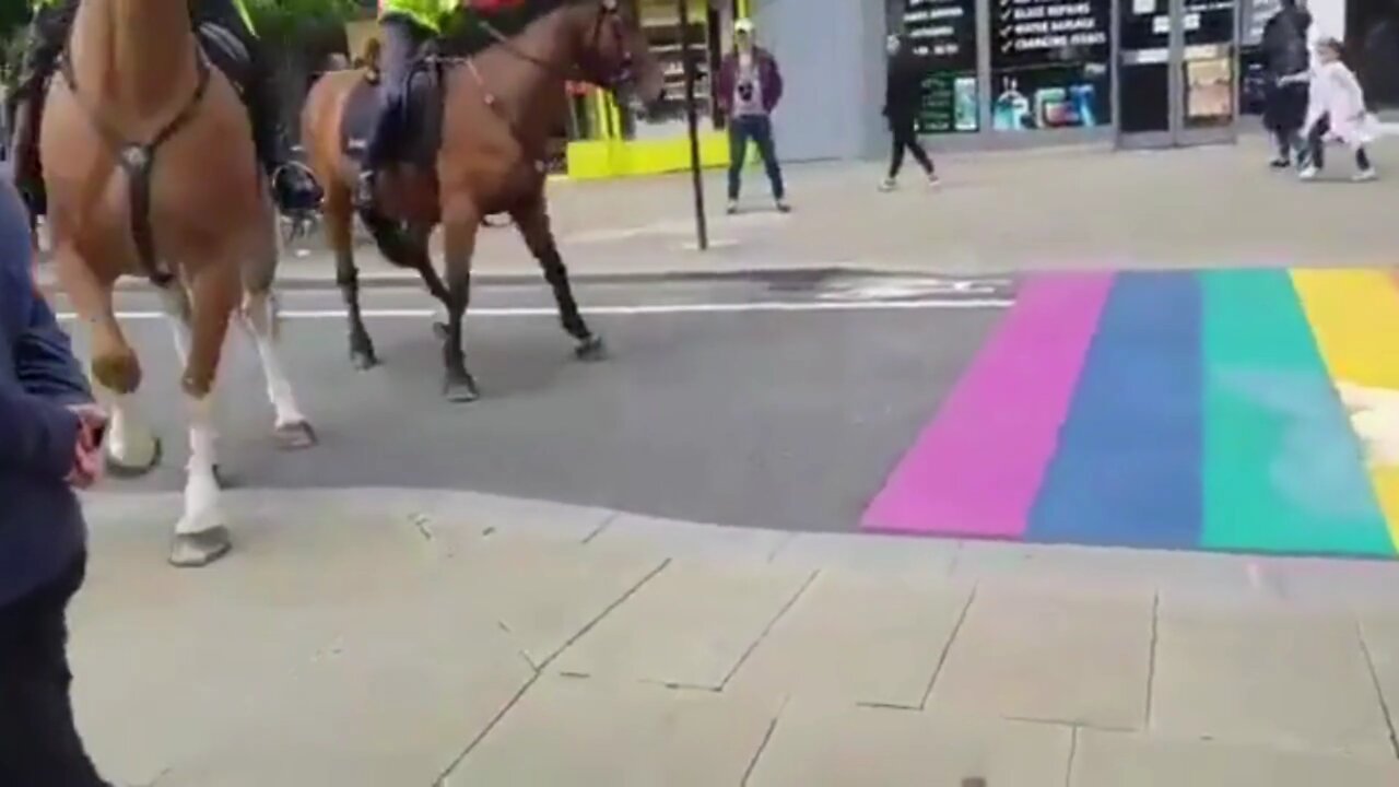 Are Police Horses Anti-Gay ?????