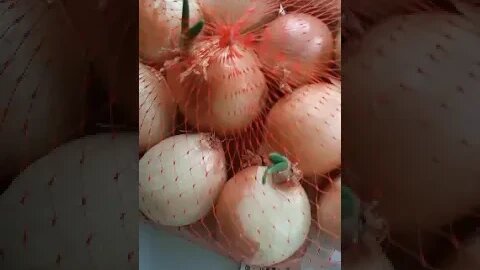 An growing onion video for newbs